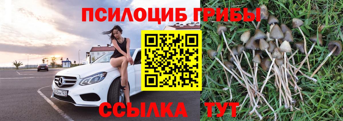 Галлюциногенные грибы прущие грибы  Вход с VPN  Белебей 